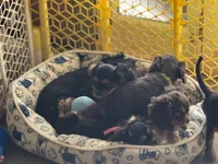 processed/46e8dcf3-643b-4816-8691-b9ab06ec433e/facility/4ccae3bf-b608-4571-bccb-c263f38b638a