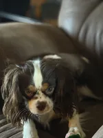 processed/46e8dcf3-643b-4816-8691-b9ab06ec433e/facility/557e1c2e-322c-4a74-b015-49f608b666e2