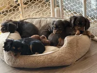 processed/46e8dcf3-643b-4816-8691-b9ab06ec433e/facility/5bd43488-041c-4858-8171-17255e3350c2