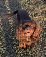 processed/46e8dcf3-643b-4816-8691-b9ab06ec433e/facility/71ad22f2-5d53-4dcd-91be-b268f045e7f3