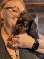 processed/46e8dcf3-643b-4816-8691-b9ab06ec433e/facility/cc4d9b4d-1850-4726-b8af-6b28050fbf9f