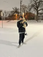 Lola, a female Goldendoodle for sale in Dallas, TX – Photo 4 of 8