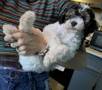 processed/4701e5a3-46f8-4706-bf6b-e8aebc71ff1c/listing/945321ab-b4a4-4f50-b0cb-6dd443424785/1d985f8f-f9d7-4aac-89a8-3ebf36af4b7a