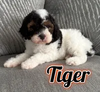 processed/4701e5a3-46f8-4706-bf6b-e8aebc71ff1c/listing/945321ab-b4a4-4f50-b0cb-6dd443424785/600ea7a8-6439-4c3d-8eb5-eac9e4ac2c81