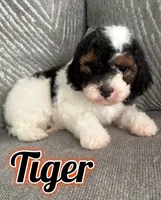 processed/4701e5a3-46f8-4706-bf6b-e8aebc71ff1c/listing/945321ab-b4a4-4f50-b0cb-6dd443424785/bed530bc-6d01-4ef8-b2e7-5aabde32a440