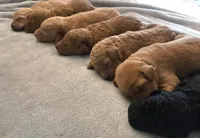 processed/470522f8-7691-4cfa-928d-5f16d107331e/facility/11a771d2-95f1-4343-91fd-142bc41654f4