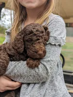 processed/470522f8-7691-4cfa-928d-5f16d107331e/facility/55561e05-d7b6-4e21-99d9-5302131dd237