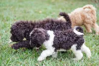 processed/470522f8-7691-4cfa-928d-5f16d107331e/facility/caa2064b-a838-4c48-a590-d7331e823432