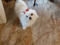 processed/4705c182-5fb7-4527-b6f2-36b3510c1c92/facility/185948e4-b77e-4c9a-ad74-84cc3151ed67