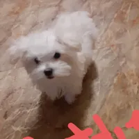 processed/4705c182-5fb7-4527-b6f2-36b3510c1c92/facility/5de30498-686d-4ec5-a43b-eff46c4afba0