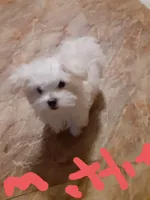 processed/4705c182-5fb7-4527-b6f2-36b3510c1c92/facility/5de30498-686d-4ec5-a43b-eff46c4afba0