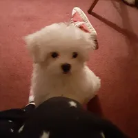 processed/4705c182-5fb7-4527-b6f2-36b3510c1c92/facility/819895a6-2b28-40a0-bb5f-7d63e13e5b83