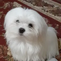 processed/4705c182-5fb7-4527-b6f2-36b3510c1c92/facility/a5db4f1c-986d-47be-aa9a-e75bfc1722f8