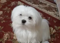 processed/4705c182-5fb7-4527-b6f2-36b3510c1c92/facility/a5db4f1c-986d-47be-aa9a-e75bfc1722f8