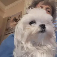 processed/4705c182-5fb7-4527-b6f2-36b3510c1c92/facility/ea605042-1fbf-49ab-b4a2-480dde57d8fe