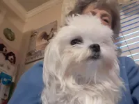 processed/4705c182-5fb7-4527-b6f2-36b3510c1c92/facility/ea605042-1fbf-49ab-b4a2-480dde57d8fe