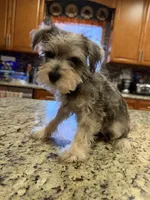 processed/470cd721-dbdb-4a53-8d1b-a17a9d38c71f/listing/1213fd94-6e94-402e-9f8e-59984d97aa7c/476a299c-5035-4699-963d-f3c0d57444bb