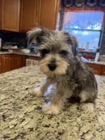 processed/470cd721-dbdb-4a53-8d1b-a17a9d38c71f/listing/1213fd94-6e94-402e-9f8e-59984d97aa7c/bc385cd6-7ab1-428c-aea3-1996c5aad5f3