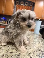 processed/470cd721-dbdb-4a53-8d1b-a17a9d38c71f/listing/562ed5ea-4d06-4f75-bcae-8b0dee8ca37a/0a45e2da-9f6a-437b-babf-d8ed9381eaaa