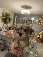 processed/470cd721-dbdb-4a53-8d1b-a17a9d38c71f/listing/562ed5ea-4d06-4f75-bcae-8b0dee8ca37a/2d4a5f7e-7bf8-4681-98e3-a8226aded42d