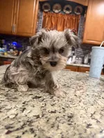 processed/470cd721-dbdb-4a53-8d1b-a17a9d38c71f/listing/562ed5ea-4d06-4f75-bcae-8b0dee8ca37a/e47e175b-4d6c-4fc9-a314-c39235ae0564