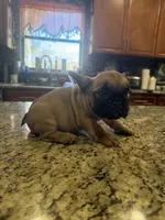 processed/470cd721-dbdb-4a53-8d1b-a17a9d38c71f/listing/a197ea7c-8ba3-40c3-90b4-c40747ac0d45/4e7a48df-b966-43ab-98de-f0b803f718b4