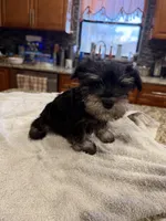 processed/470cd721-dbdb-4a53-8d1b-a17a9d38c71f/listing/d582ed88-d852-482e-b69c-8fee273ef030/15669ad1-2738-437f-ada1-4a075967f098