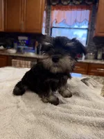 processed/470cd721-dbdb-4a53-8d1b-a17a9d38c71f/listing/d582ed88-d852-482e-b69c-8fee273ef030/409f989e-2f7f-4eb2-81ac-5aecc25e7093