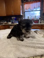 processed/470cd721-dbdb-4a53-8d1b-a17a9d38c71f/listing/d582ed88-d852-482e-b69c-8fee273ef030/fd6fb388-3970-4430-aa87-8c70f1673b83