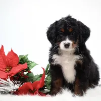 processed/4711aae3-09ea-47e0-836b-28b574937e82/facility/1c050571-c4d0-4b5a-a827-62592adc228f