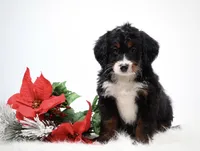 processed/4711aae3-09ea-47e0-836b-28b574937e82/facility/1c050571-c4d0-4b5a-a827-62592adc228f