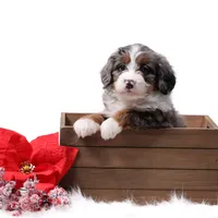 processed/4711aae3-09ea-47e0-836b-28b574937e82/facility/3ab80ead-a58c-4be5-82ea-dc27b297be1c