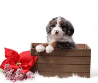 processed/4711aae3-09ea-47e0-836b-28b574937e82/facility/3ab80ead-a58c-4be5-82ea-dc27b297be1c