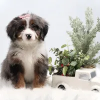 processed/4711aae3-09ea-47e0-836b-28b574937e82/facility/79f7c02c-bf95-4b0d-a97d-32f1a19d03b5