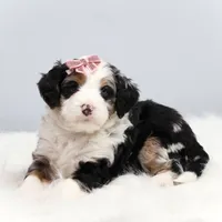 processed/4711aae3-09ea-47e0-836b-28b574937e82/facility/92f97ad3-7db2-42da-bc99-39d6872e4433