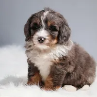 processed/4711aae3-09ea-47e0-836b-28b574937e82/facility/d79232a0-81bf-4966-957b-3ec02269d2e9