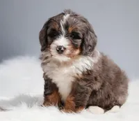 processed/4711aae3-09ea-47e0-836b-28b574937e82/facility/d79232a0-81bf-4966-957b-3ec02269d2e9