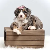 processed/4711aae3-09ea-47e0-836b-28b574937e82/facility/f08850ec-462b-46b3-9390-9abc8ce7d03e