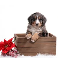 processed/4711aae3-09ea-47e0-836b-28b574937e82/facility/ff73d2f4-033e-4c9d-a2dd-a8e1e9f9162b