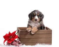 processed/4711aae3-09ea-47e0-836b-28b574937e82/facility/ff73d2f4-033e-4c9d-a2dd-a8e1e9f9162b