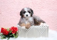 processed/4711aae3-09ea-47e0-836b-28b574937e82/listing/0686f996-1a14-45c1-b7f5-876684303d8a/58f756a4-a0c5-4882-afb0-af5c7c439438