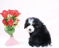 processed/4711aae3-09ea-47e0-836b-28b574937e82/listing/6acc86b0-2d4b-44ab-9b04-28ca54a66e2b/11a838e4-1a68-4d82-910a-2eab8034a2bf