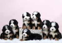 processed/4711aae3-09ea-47e0-836b-28b574937e82/listing/6acc86b0-2d4b-44ab-9b04-28ca54a66e2b/96a9cf5d-b7bb-4f72-917b-3c0f477d7a49