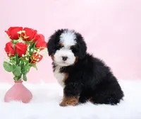 processed/4711aae3-09ea-47e0-836b-28b574937e82/listing/6da7b29a-0a48-4a98-a53e-331ebc8b6cee/a3f4a87e-a242-4ac9-9db0-dfc52fcf1d66