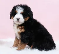 processed/4711aae3-09ea-47e0-836b-28b574937e82/listing/75b5b698-efbb-43b6-89d2-7685843eafb6/5675356d-9e82-4de9-b253-7e2c1307bf97