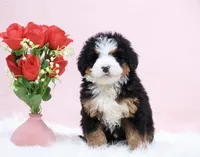 processed/4711aae3-09ea-47e0-836b-28b574937e82/listing/75b5b698-efbb-43b6-89d2-7685843eafb6/fb63f6c0-80b5-4405-a3f2-8e3403bf59ff