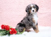 processed/4711aae3-09ea-47e0-836b-28b574937e82/listing/85dd107a-0564-4b90-b4f3-aa48aaaa6d8a/42626b8a-a9f4-43a9-83cf-e0037b58c250