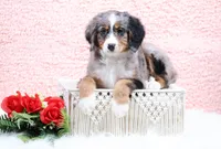 processed/4711aae3-09ea-47e0-836b-28b574937e82/listing/85dd107a-0564-4b90-b4f3-aa48aaaa6d8a/7d3edc45-b02f-4296-bb22-9c50b5dbf6d1