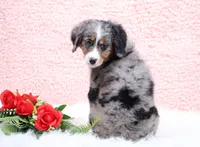 processed/4711aae3-09ea-47e0-836b-28b574937e82/listing/85dd107a-0564-4b90-b4f3-aa48aaaa6d8a/a5ce38d4-2381-433c-a5be-7e28f7aa8f4b