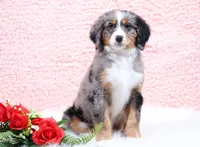 processed/4711aae3-09ea-47e0-836b-28b574937e82/listing/85dd107a-0564-4b90-b4f3-aa48aaaa6d8a/ba830b06-38cd-4b90-90ee-e9e3de2ac325